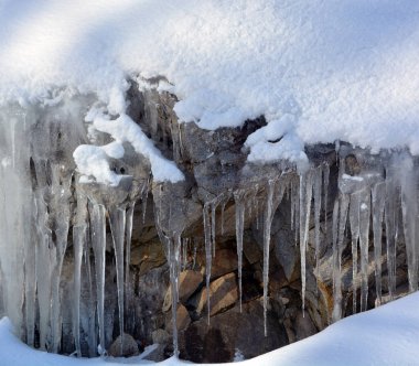 Karla kaplı ağaçlarla kaplı kış manzarası