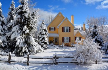 Karla kaplı ağaçlarla kaplı kış manzarası