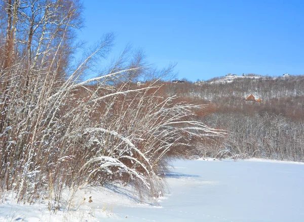 Winterlandschap Met Besneeuwde Bomen — Stockfoto