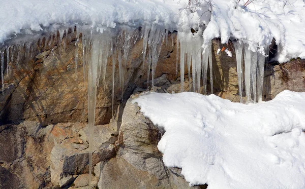 Forêt Hivernale Dans Les Montagnes — Photo