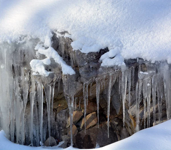 Paysage Hivernal Avec Arbres Enneigés — Photo