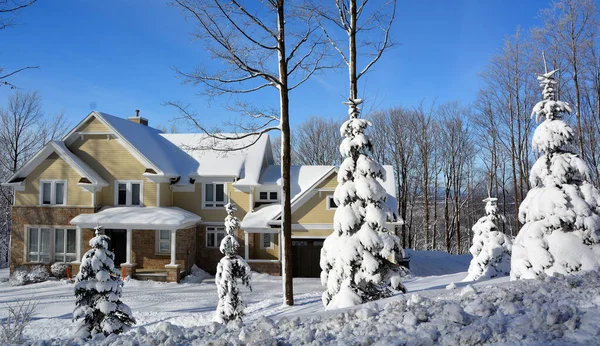 Winterlandschaft Mit Schneebedeckten Bäumen — Stockfoto