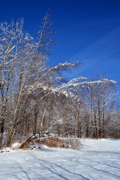 Winterwandeling Ski Bevroren Rivier — Stockfoto