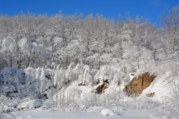 Śnieżny Krajobraz Las — Zdjęcie stockowe