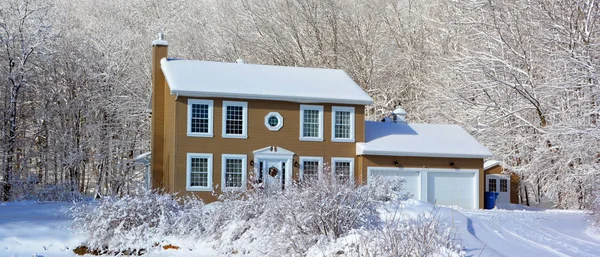 Dom Zimowy Pokrytymi Śniegiem Drzewami — Zdjęcie stockowe