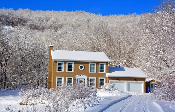 Paisaje Invernal Con Árboles Cubiertos Nieve — Foto de Stock