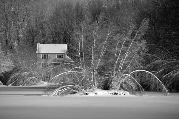 Casa Copacii Din Pădure — Fotografie, imagine de stoc