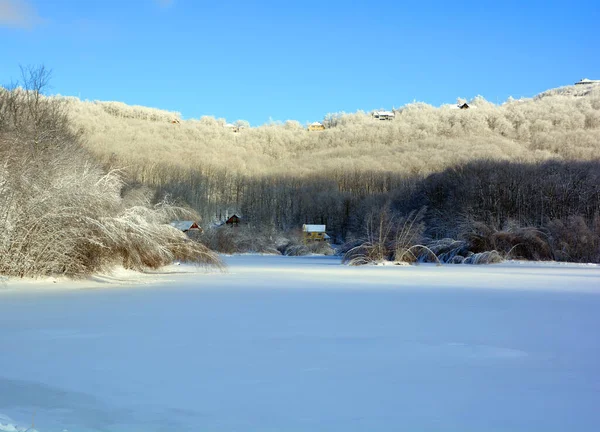 Paisaje Invernal Con Nieve Árboles —  Fotos de Stock