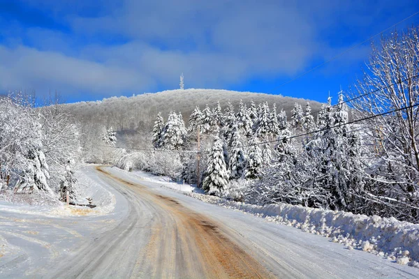 Paisagem Inverno Com Árvores Cobertas Neve — Fotografia de Stock