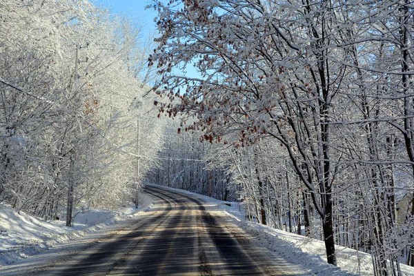 Estrada Inverno Com Árvores Cobertas Neve — Fotografia de Stock