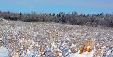 Kar ve ağaçlarla kaplı kış manzarası