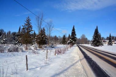 Kış ormanında karlı bir yol
