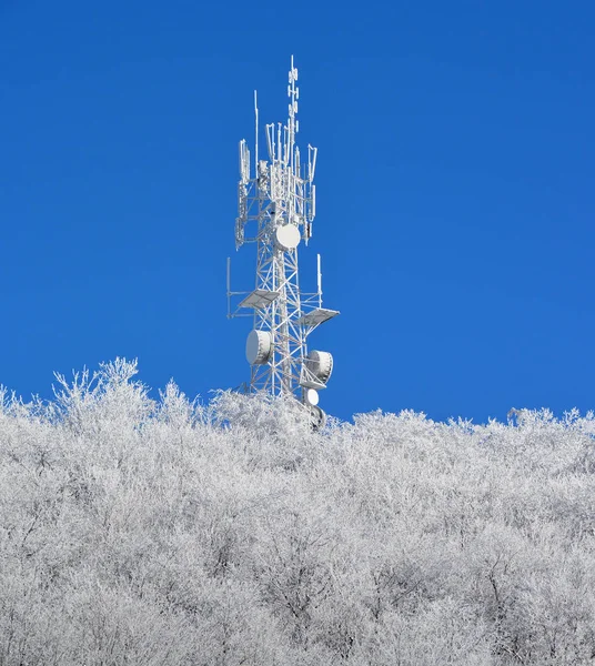 Electric tower in winter forest