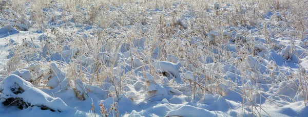 Neve Solo Coberto Gelo — Fotografia de Stock