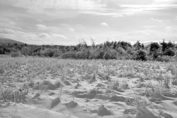 Sneeuwlandschap Winter — Stockfoto