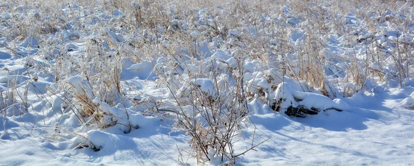 Paisagem Inverno Com Árvores Cobertas Neve — Fotografia de Stock