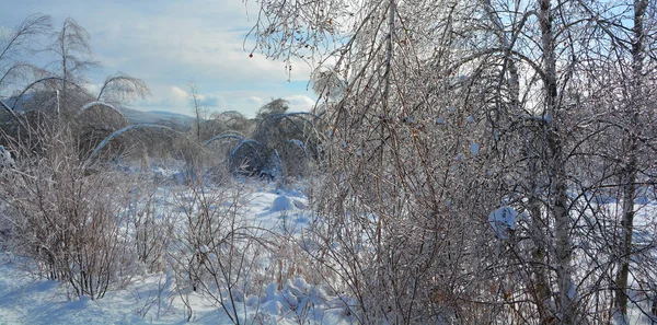 Winter Landschap Met Vorst Bomen — Stockfoto