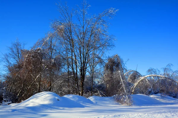 Winterlandschap Met Besneeuwde Bomen — Stockfoto