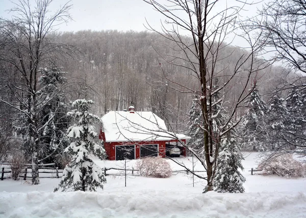 Imagen Stock Del Bosque Nevado — Foto de Stock