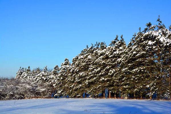 Paisagem Nevada Estação Inverno — Fotografia de Stock