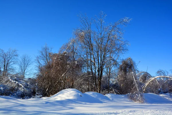 Winter Landscape Snow Covered Trees — Stock Photo, Image