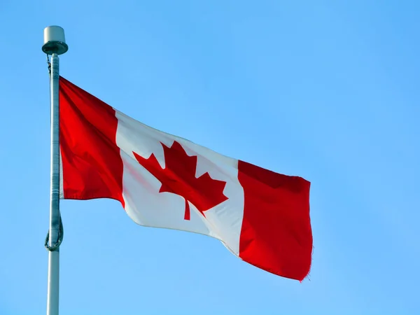 Kanadensisk Flagga Blå Himmel Bakgrund — Stockfoto