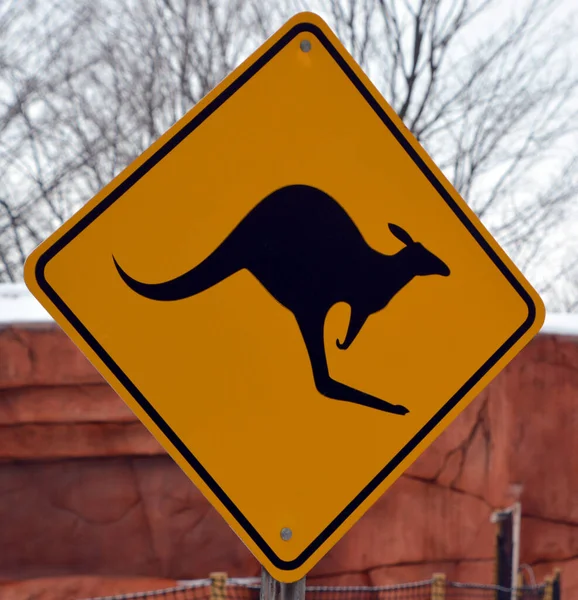 Yellow sign of Australian kangaroo