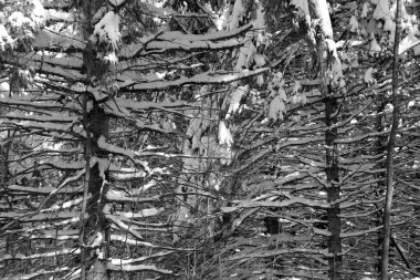 soyut siyah beyaz arkaplan.