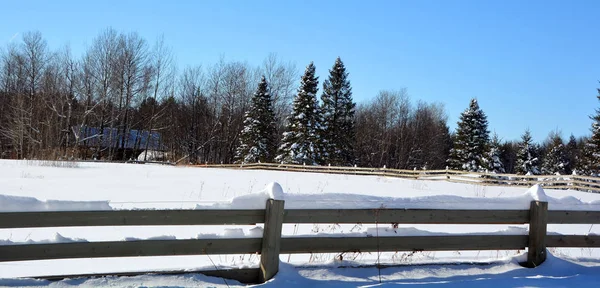 Schneelandschaft Wintertag — Stockfoto