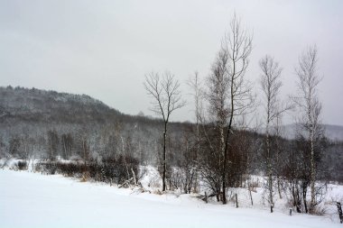 Kış gününde karlı manzara