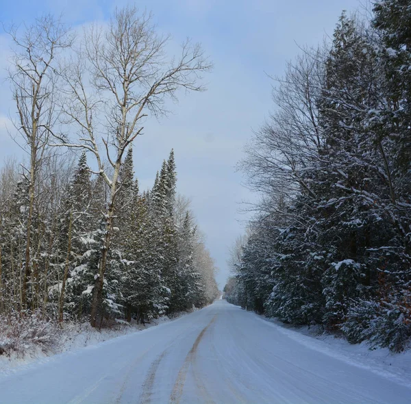 Camino Cubierto Nieve Con Árboles Lado Día Invierno Camino Sin — Foto de Stock