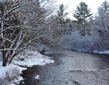 Karla kaplı ağaçlarla kaplı kış manzarası