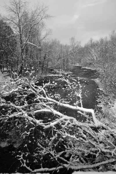 雪と白黒の背景 — ストック写真