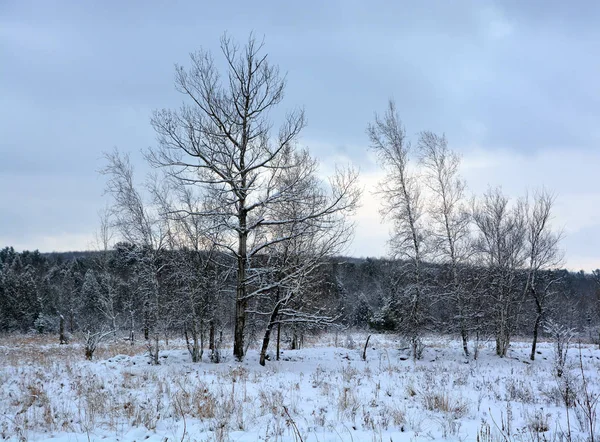 Śnieżny Krajobraz Zimą — Zdjęcie stockowe