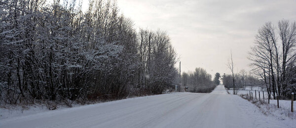 Снежный пейзаж в зимнее время
