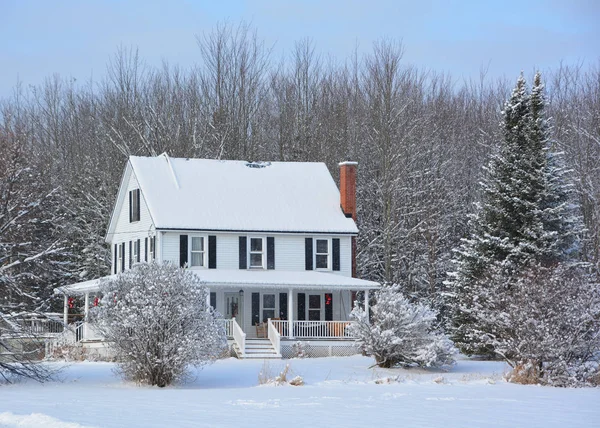 Дом Зимнем Парке — стоковое фото