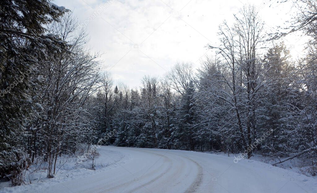 road in winter forest