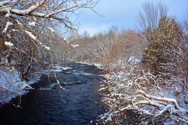 Bevroren Rivier Het Winterbos — Stockfoto