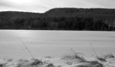 Kar ve ağaçlarla kaplı kış manzarası