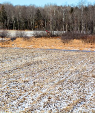 Kar ve ağaçlarla kaplı kış manzarası