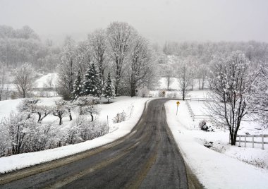 Ağaçlar kış yol kar ile kaplı