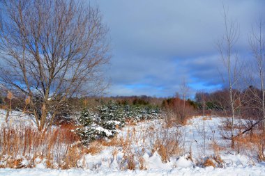 Dağlardaki çayır boyunca uzanan yolu olan kış manzarası