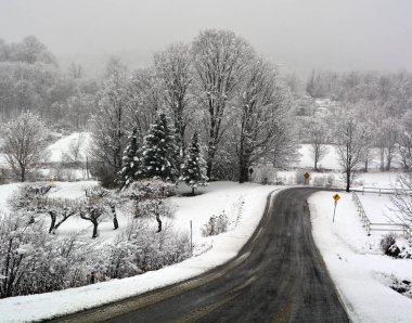 Karla kaplı ağaçlarla kaplı kış manzarası