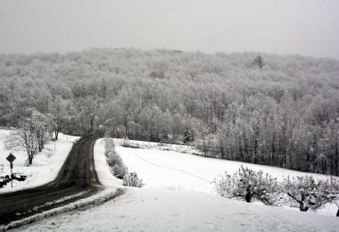 Karla kaplı ağaçlarla kaplı kış manzarası