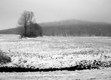 güzel siyah beyaz arkaplan.
