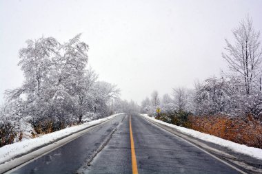 Karla kaplı ağaçlarla kaplı kış manzarası