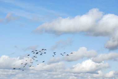 Bulutlu mavi gökyüzü