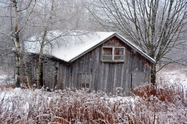 Ormandaki eski ahşap ev