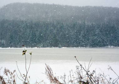 Karla kaplı ağaçlarla kaplı kış manzarası