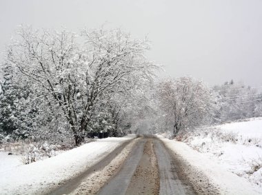 Karla kaplı ağaçlarla kaplı kış manzarası